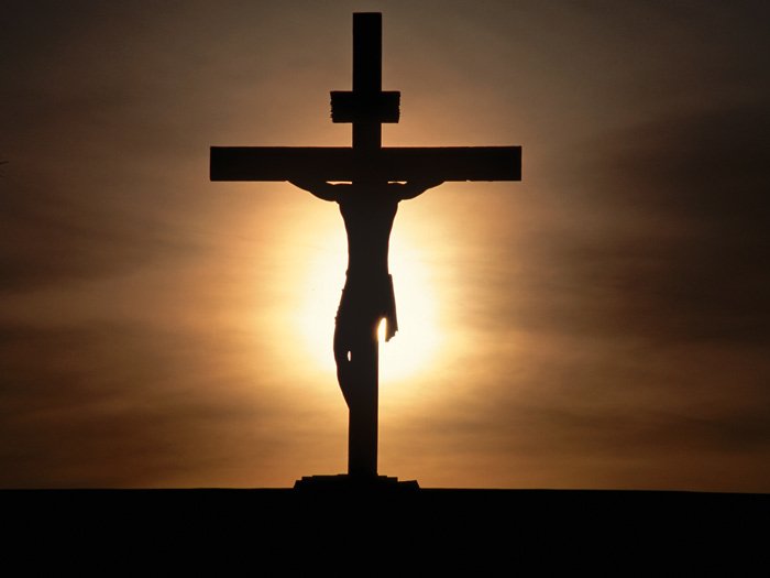 Cross NOT