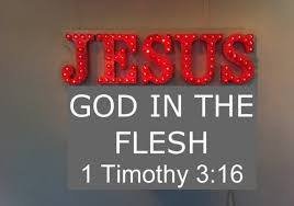 God-in-the-Flesh